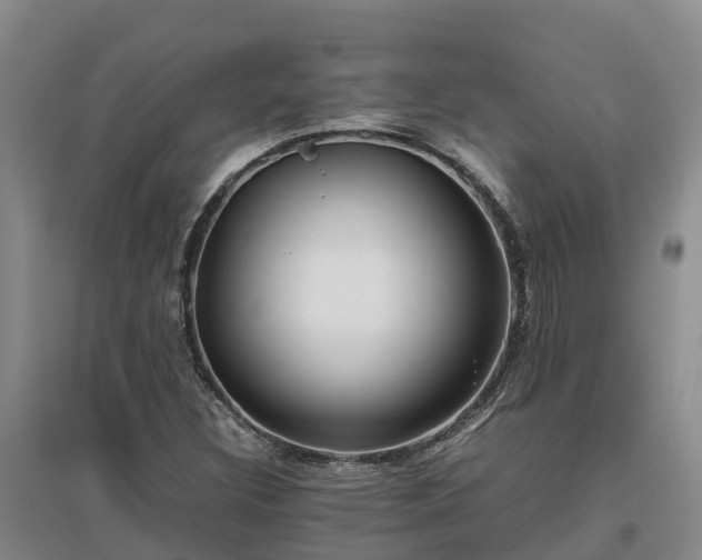 X0000097001308200802151405