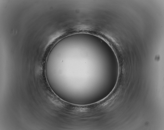 X0000097001309200802151405