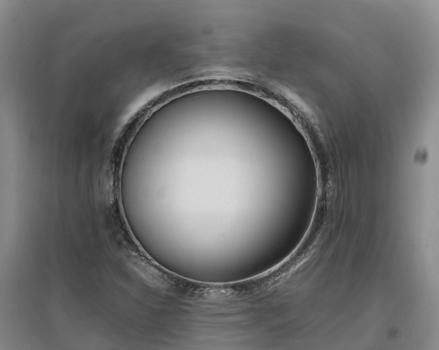 X0000097001310200802151405