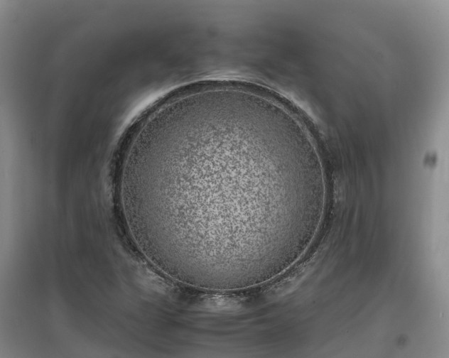 X0000097001311200802151406