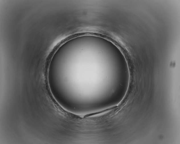 X0000097001312200802151406