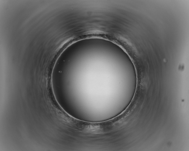 X0000097001313200802151406