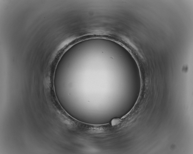 X0000097001315200802151406