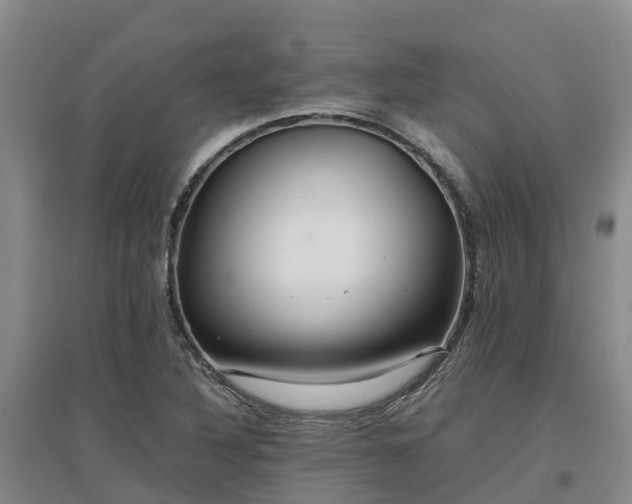 X0000097001316200802151406