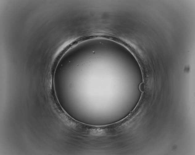 X0000097001317200802151406