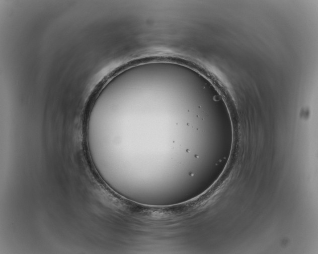 X0000097001318200802151406