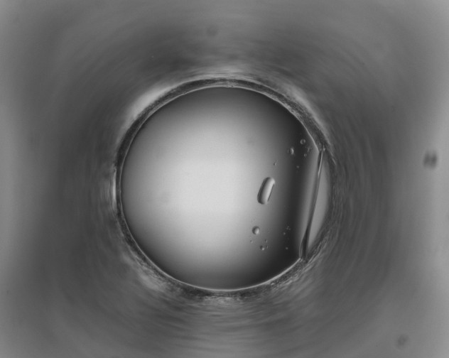 X0000097001320200802151406