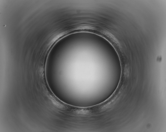 X0000097001321200802151406