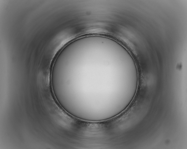 X0000097001322200802151406