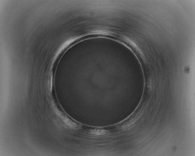 X0000097001323200802151406