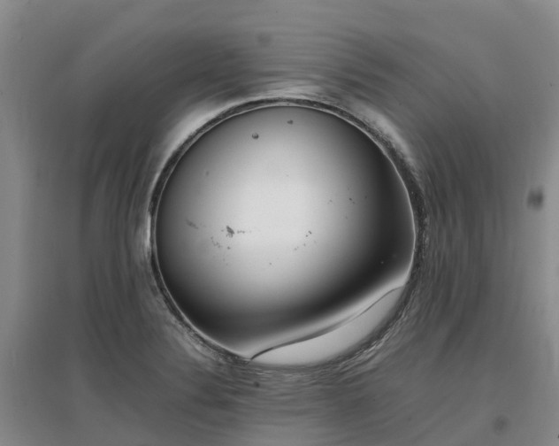 X0000097001324200802151406
