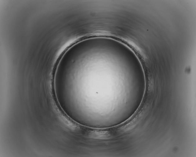 X0000097001325200802151406