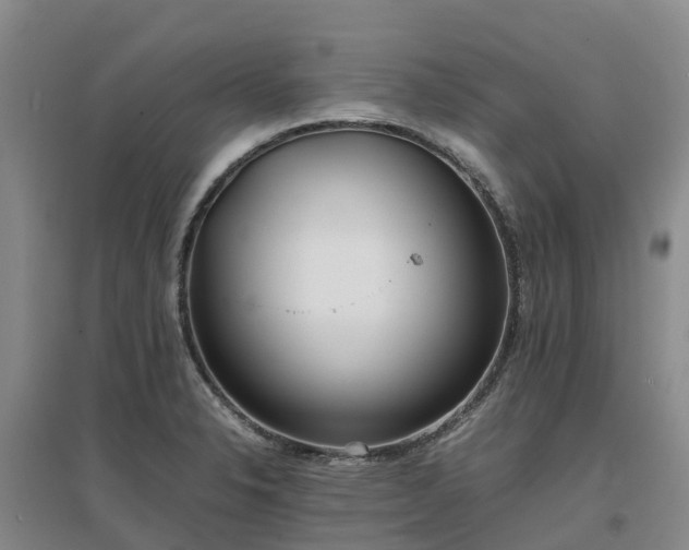 X0000097001326200802151406