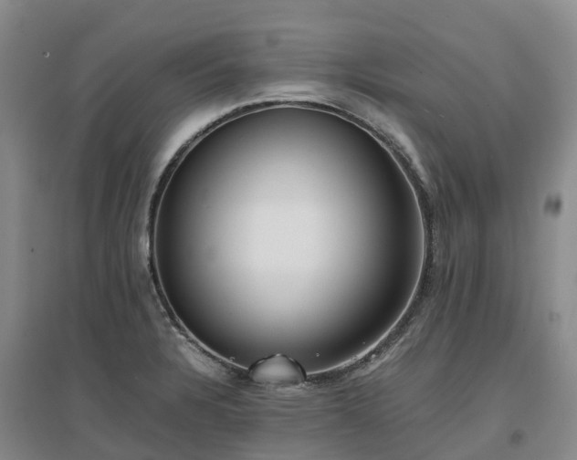 X0000097001328200802151406