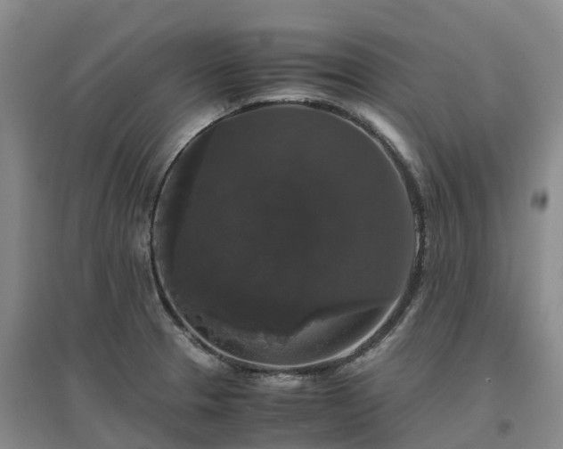 X0000097001329200802151406