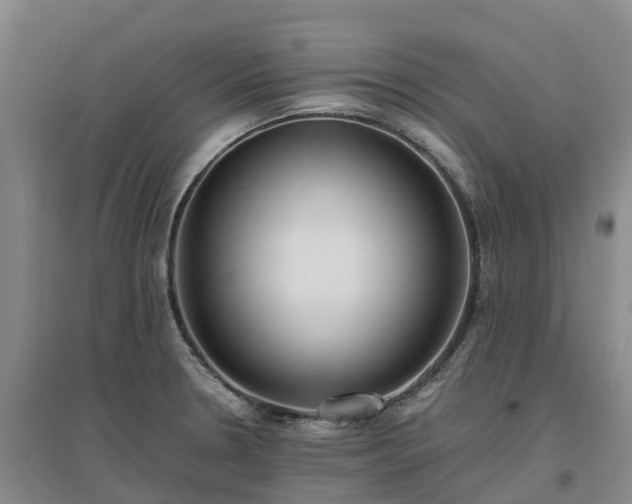 X0000097001330200802151406