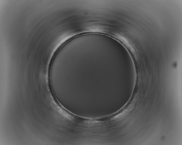 X0000097001331200802151406