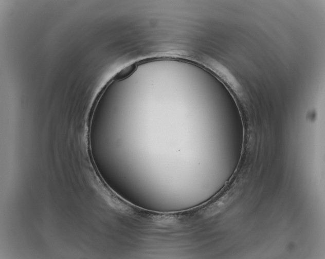 X0000097001332200802151406