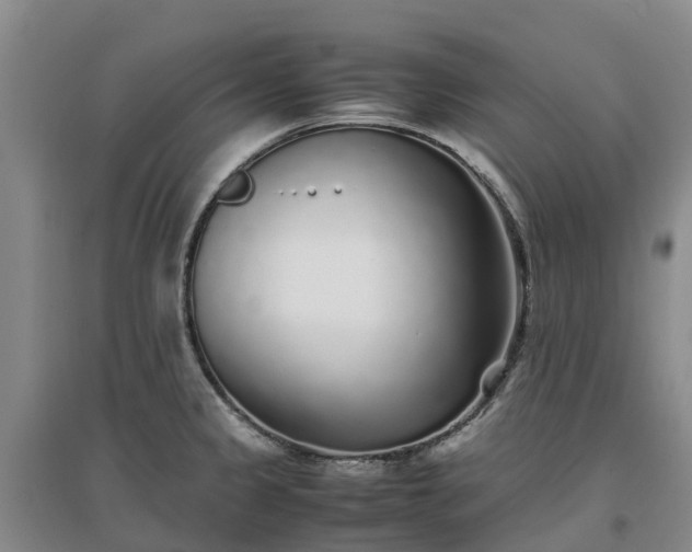 X0000097001333200802151406