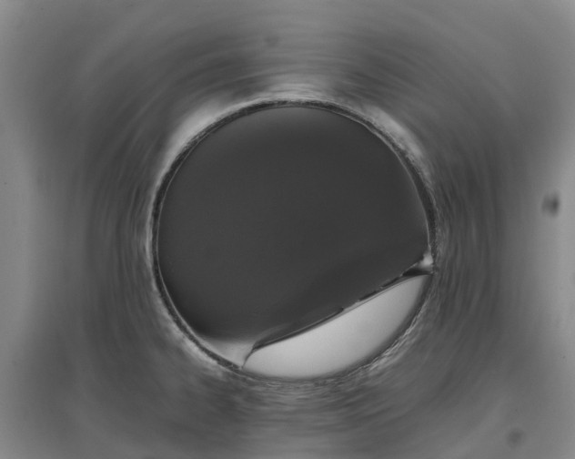X0000097001334200802151406