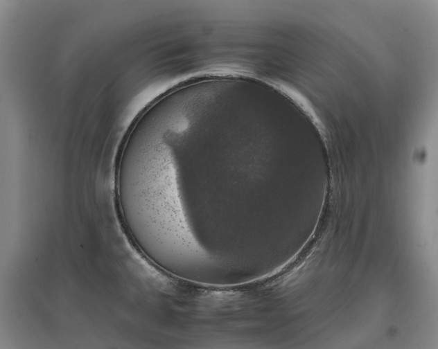 X0000097001335200802151406