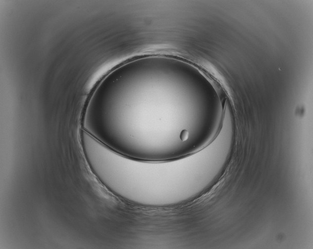 X0000097001336200802151406