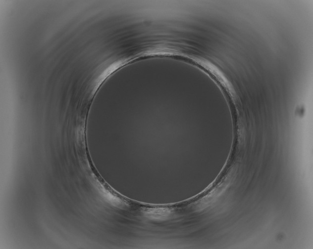 X0000097001337200802151406