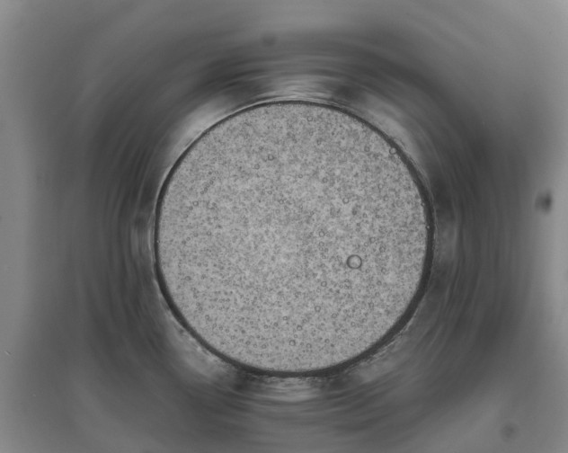 X0000097001338200802151406