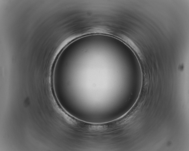 X0000097001339200802151406