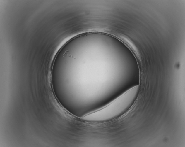 X0000097001340200802151406