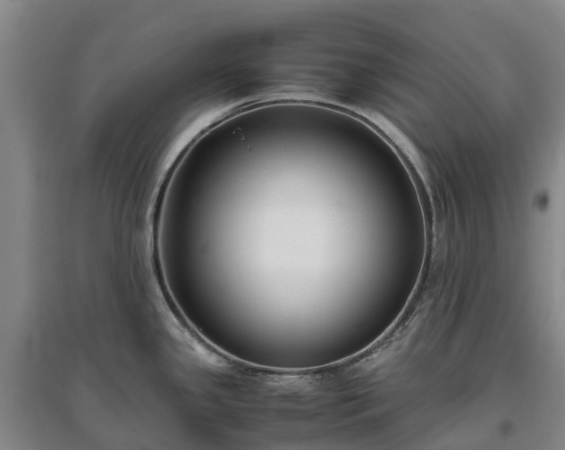 X0000097001341200802151406