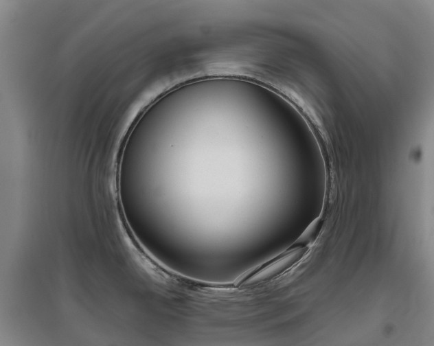 X0000097001342200802151406