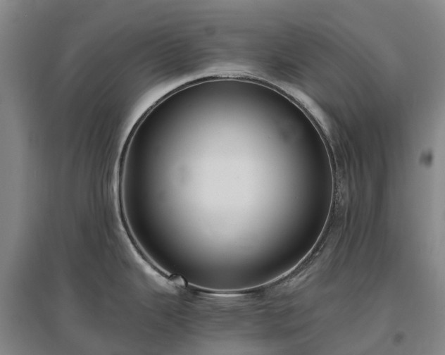 X0000097001343200802151406