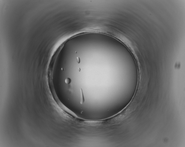 X0000097001344200802151406