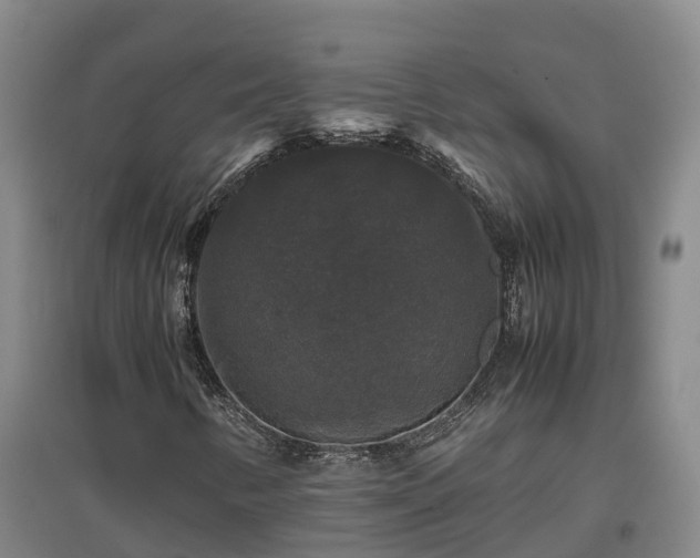 X0000097001346200802151405
