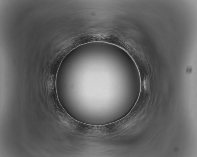 X0000097001347200802151405