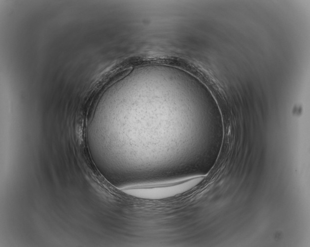 X0000097001348200802151405