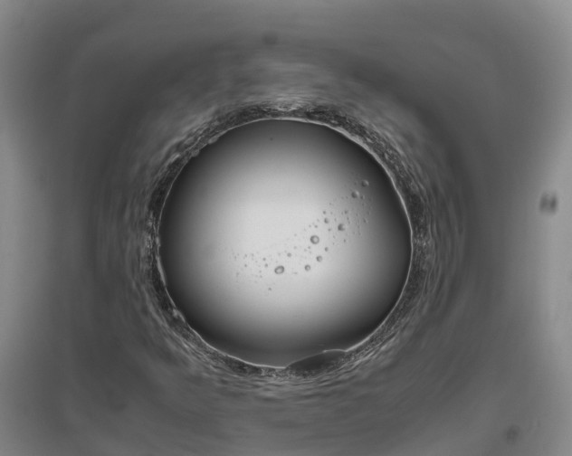 X0000097001349200802151405