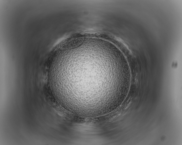 X0000097001350200802151405