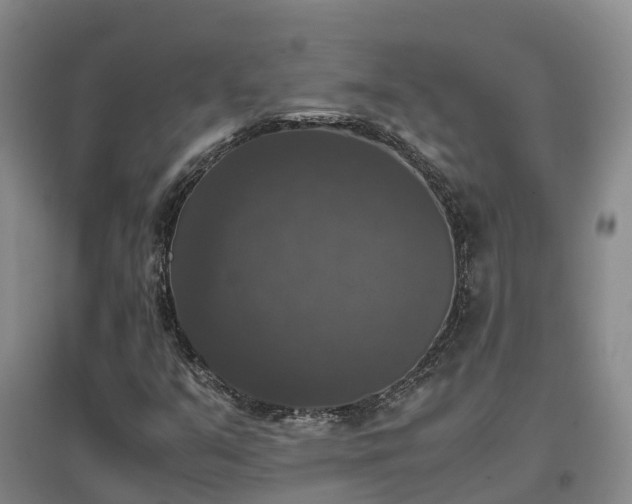X0000097001351200802151405