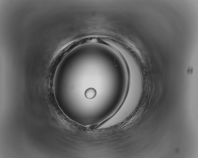 X0000097001352200802151405