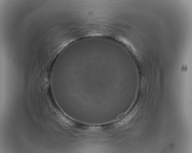 X0000097001353200802151405