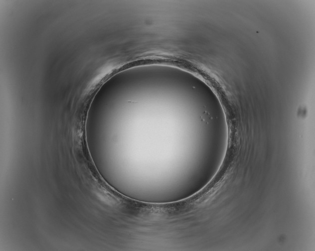X0000097001355200802151405
