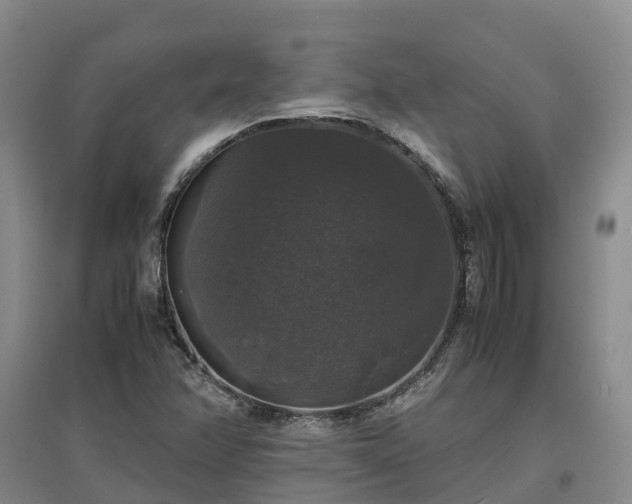 X0000097001358200802151405