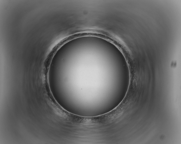 X0000097001360200802151405