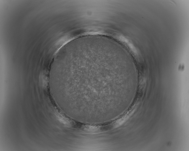 X0000097001361200802151405