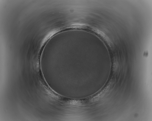 X0000097001362200802151405