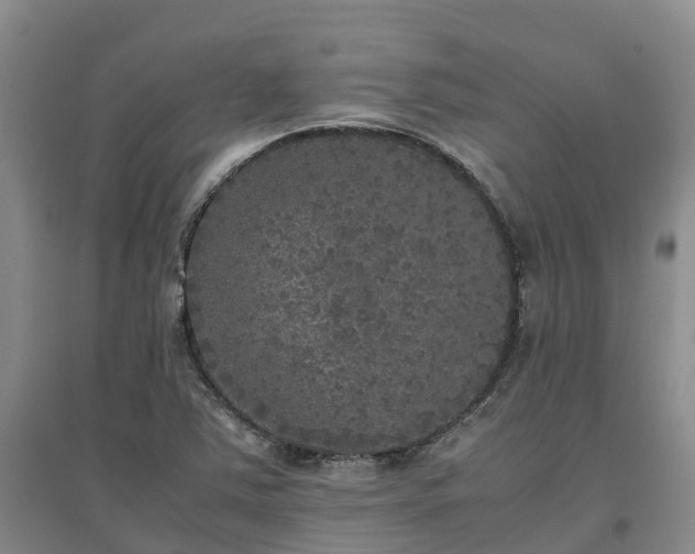X0000097001363200802151405