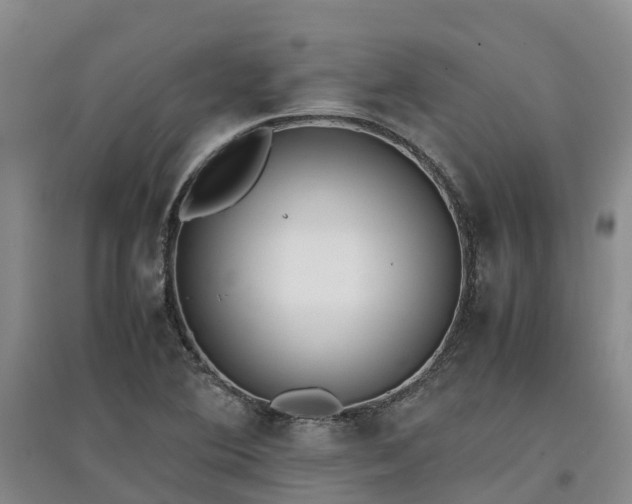 X0000097001364200802151405