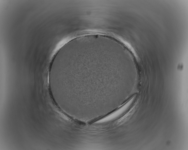 X0000097001365200802151405